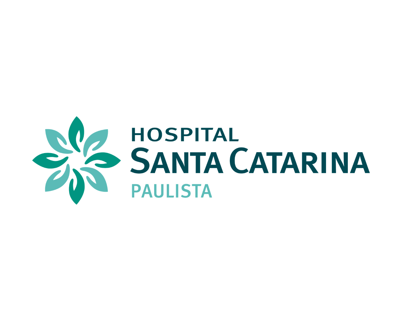 hospitais (4)